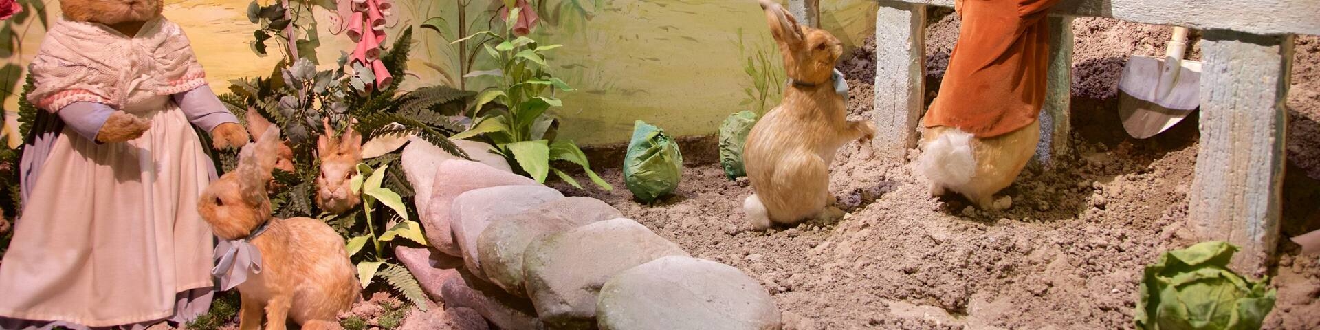 A garden scene with rabbit figurines dressed in clothes, surrounded by plants and rocks.