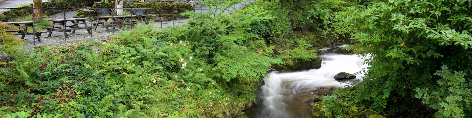 Ambleside mostrando um rio ou córrego e uma cidade pequena ou vila