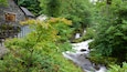 A stone house with a wooden deck, a waterfall, and lush greenery.