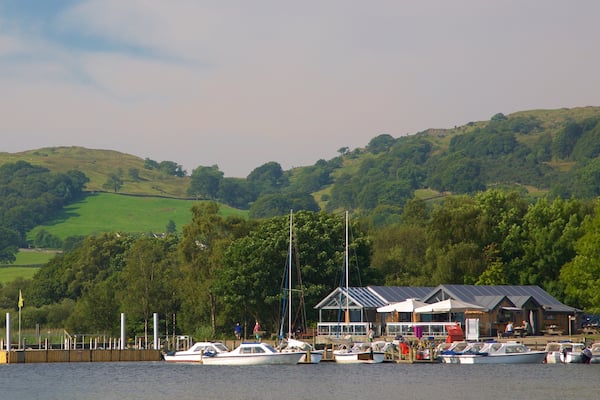 A marina with boats docked, a wooden pier, and a building with a sloped roof.