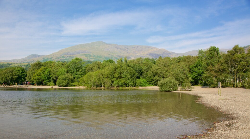 Coniston Water showing a pebble beach and a lake or waterhole