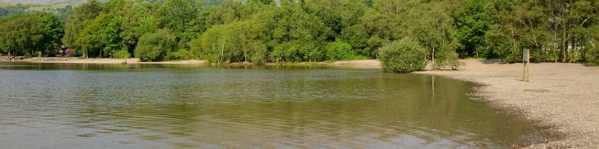 Ein ruhiger See, umgeben von dichtem Grün und einem Bergkamm im Hintergrund.