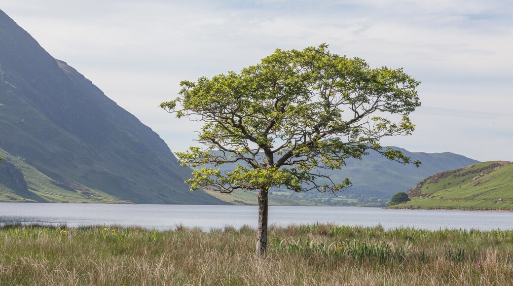 Crummock Water