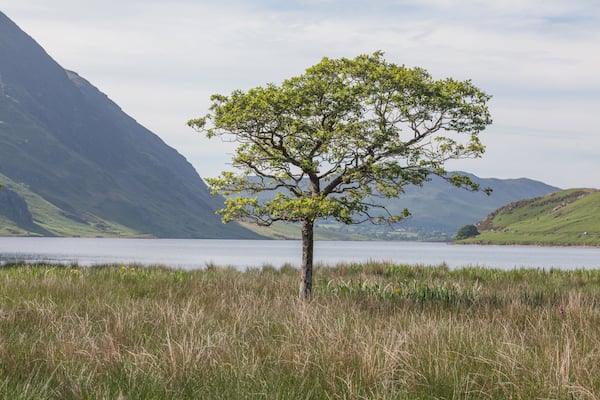 Crummock Water
