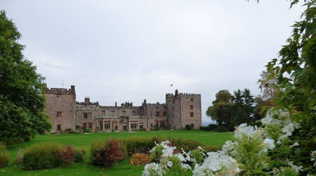 A fab place to visit on the Cumbrian coast. The grounds are dog friendly and you can watch the outdoor bird of prey display with your dog.