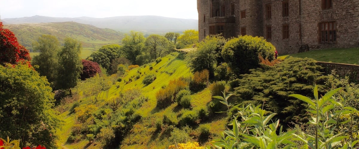 A Cumbrian castle built on original Roman foundations in Ravenglass overlooking the River Esk. Privately owned by the Pennington family for over 800 years it has a beautiful interior with a magnificent library, and most notably Himalayan Gardens. The gardens thrive because apparently the  microclimate here from the hillside and coastal atmosphere make it the equivalent of being at 11,000ft altitude in the Himalaya. 
#cumbria #muncaster #ravenglass