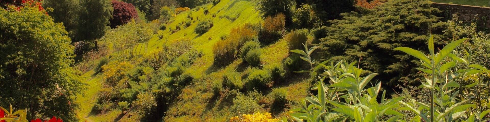A Cumbrian castle built on original Roman foundations in Ravenglass overlooking the River Esk. Privately owned by the Pennington family for over 800 years it has a beautiful interior with a magnificent library, and most notably Himalayan Gardens. The gardens thrive because apparently the microclimate here from the hillside and coastal atmosphere make it the equivalent of being at 11,000ft altitude in the Himalaya.
#cumbria #muncaster #ravenglass