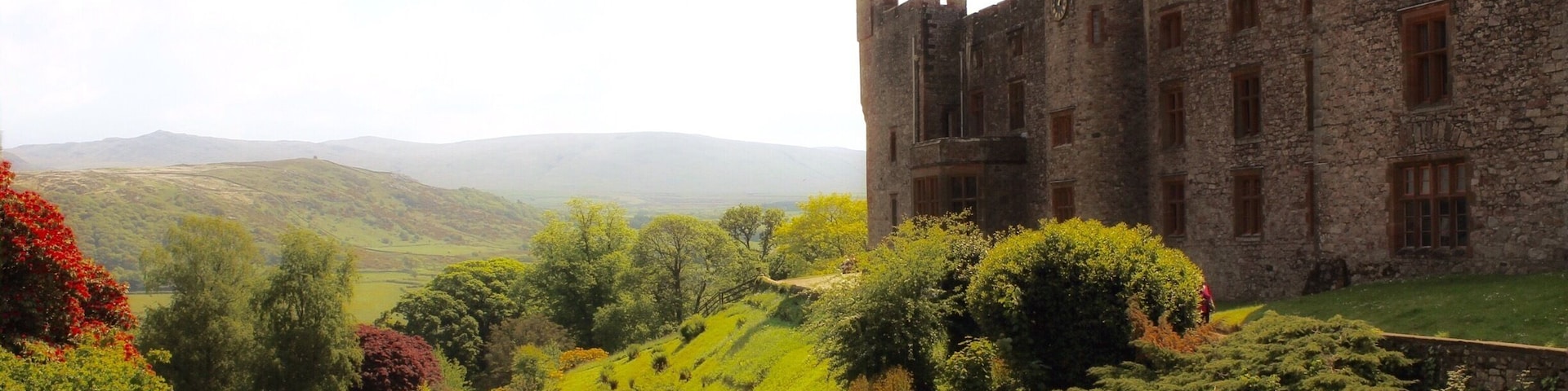 A Cumbrian castle built on original Roman foundations in Ravenglass overlooking the River Esk. Privately owned by the Pennington family for over 800 years it has a beautiful interior with a magnificent library, and most notably Himalayan Gardens. The gardens thrive because apparently the  microclimate here from the hillside and coastal atmosphere make it the equivalent of being at 11,000ft altitude in the Himalaya. 
#cumbria #muncaster #ravenglass