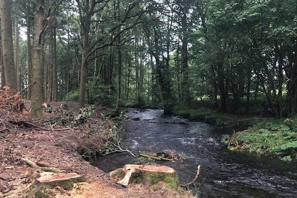 A short walk from the course