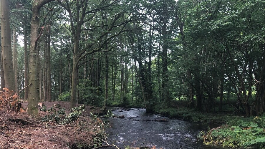 A short walk from the course