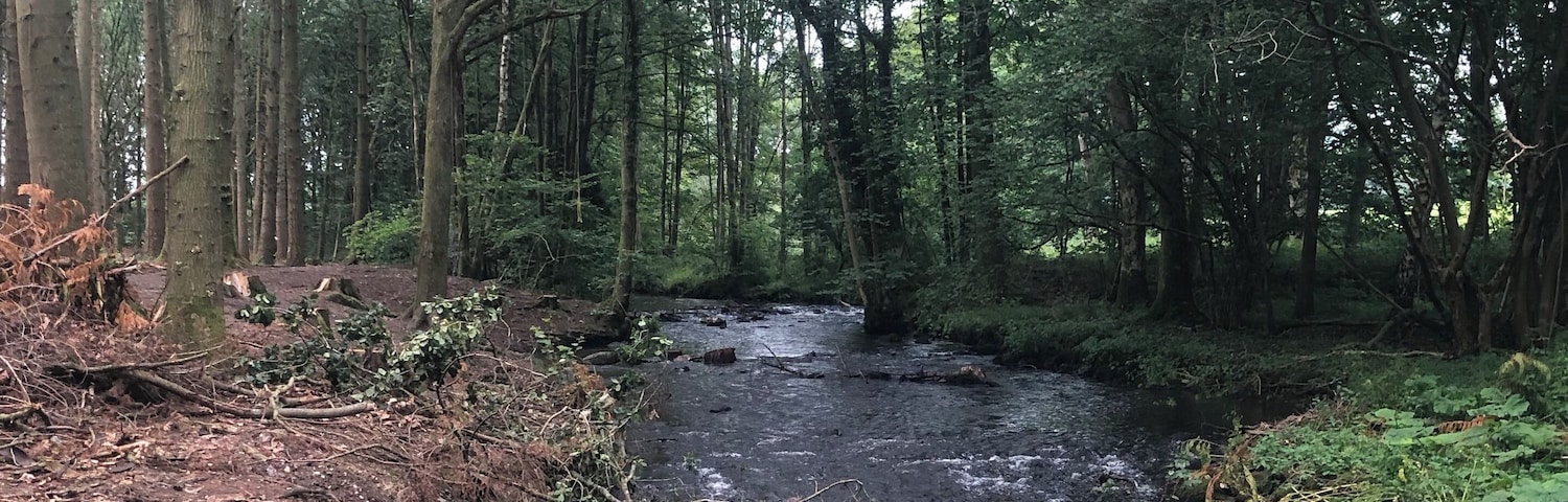 A short walk from the course