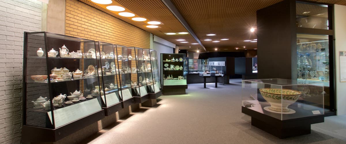 ํธ๋ฆฌ ํฌํฐ๋ฆฌ์ฆ ๋ฐ๋ฌผ๊ด ์ ํน์ง ์ค๋ด ์ ๊ฒฝ