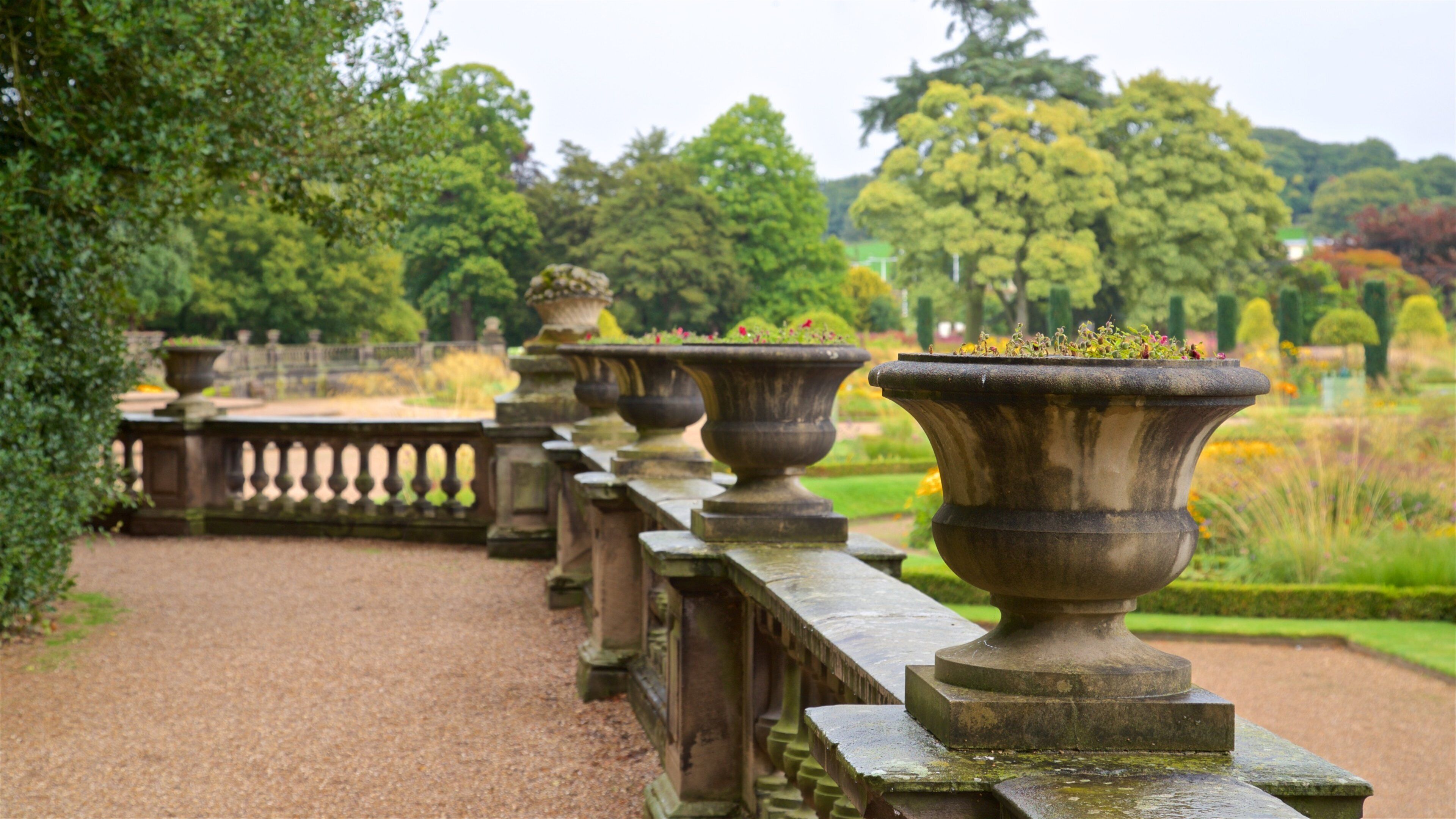 Trentham Gardens showing a garden