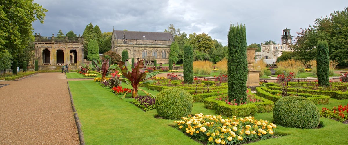 Trentham Gardens showing a park, wildflowers and flowers