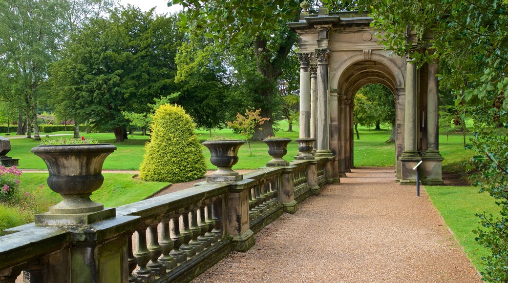 Trentham Gardens showing a park