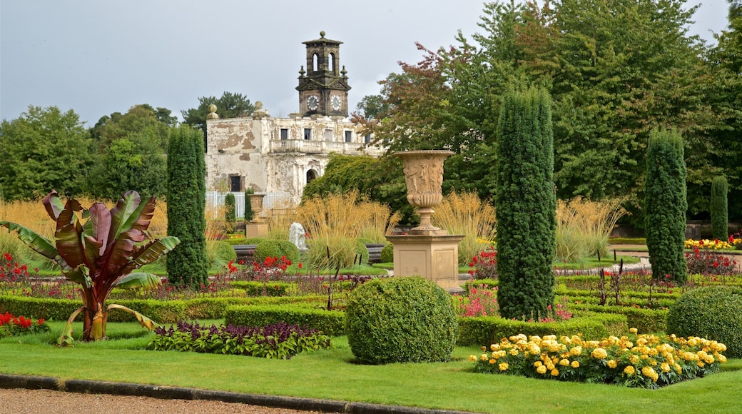 Trentham Gardens showing wild flowers, heritage elements and a park