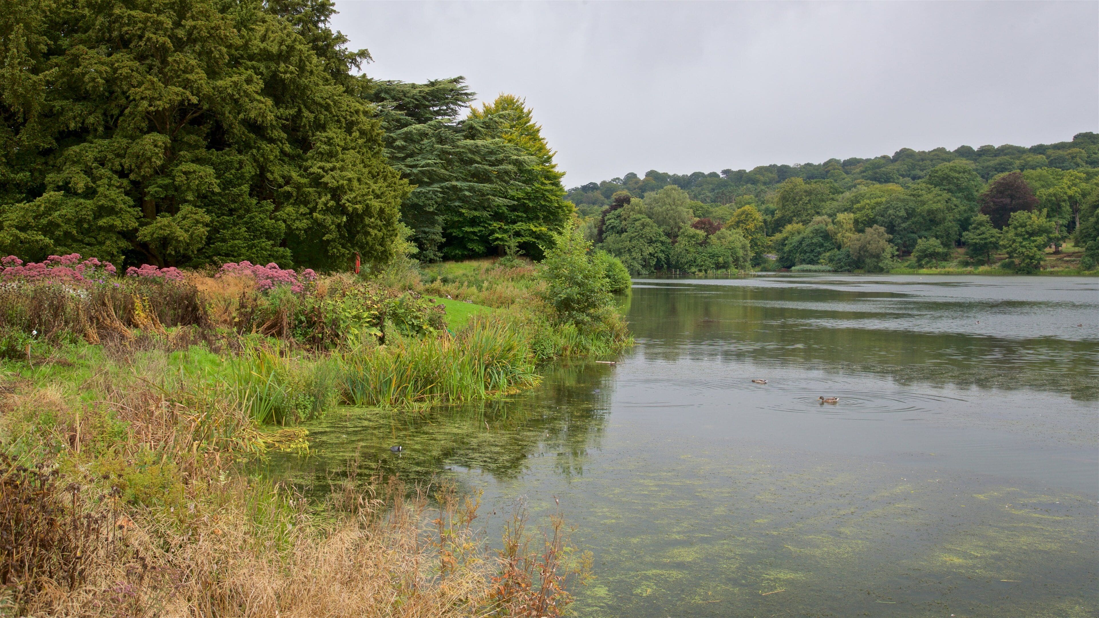 Trentham Gardens