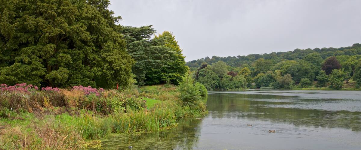 Trentham Gardens