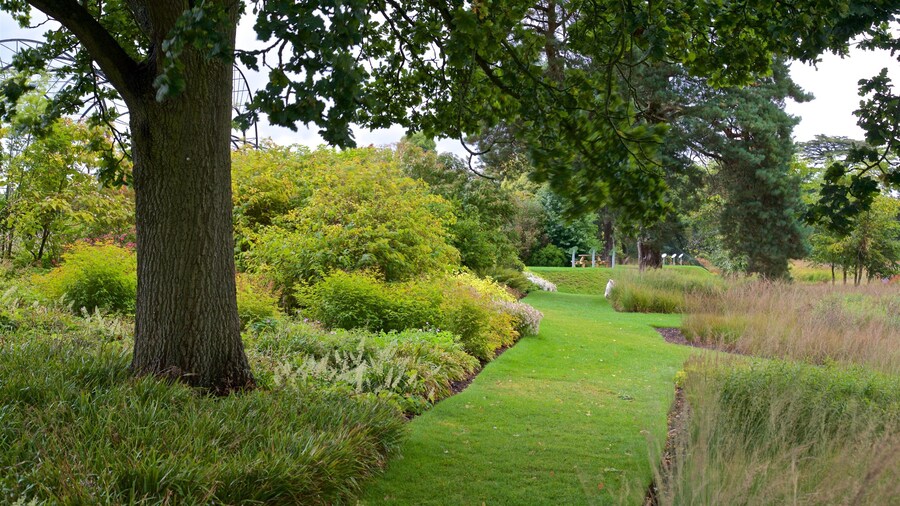 Trentham Gardens featuring a garden and wildflowers