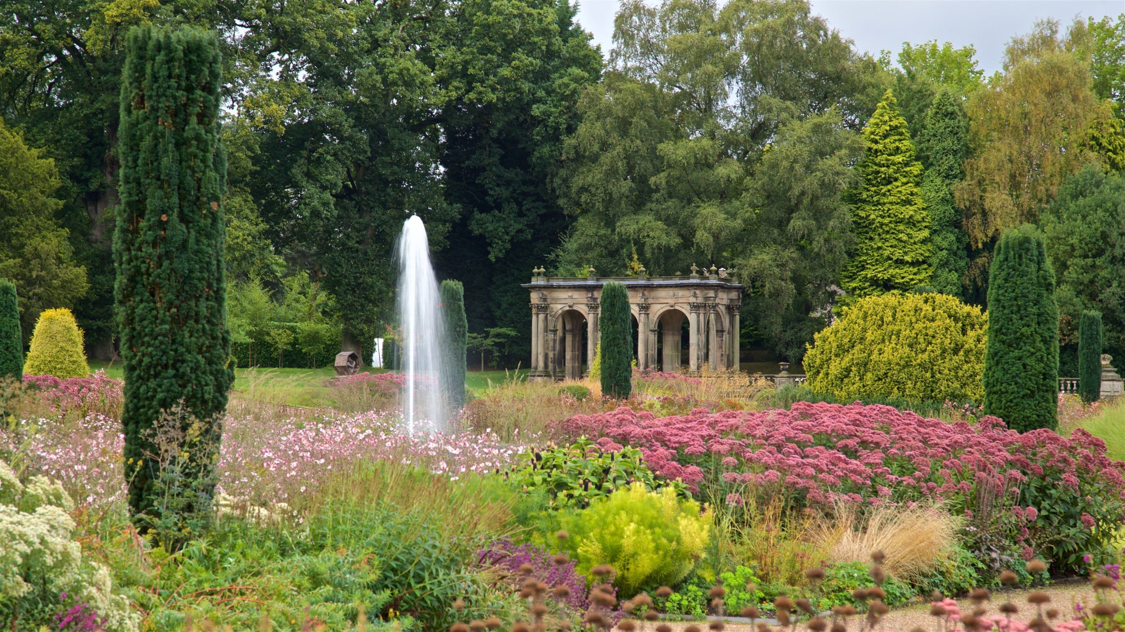 Trentham Gardens featuring a garden and wildflowers