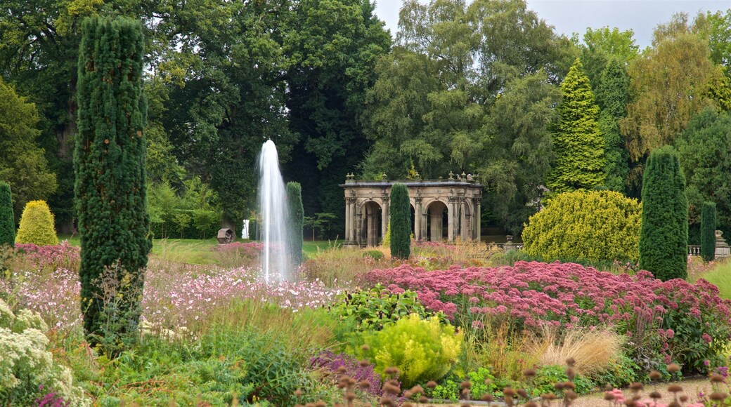 Trentham Gardens featuring a garden and wildflowers