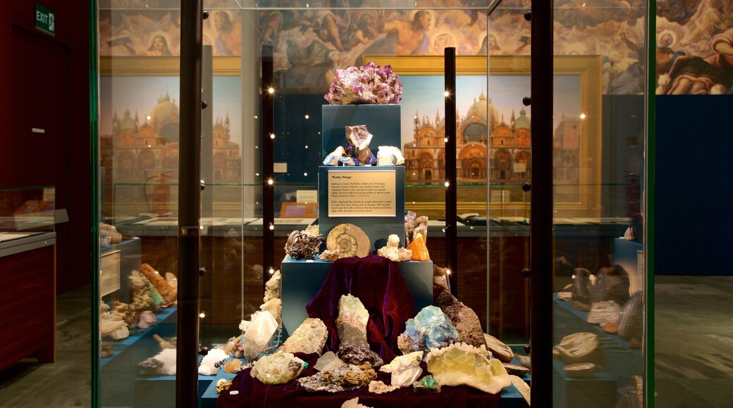 Millennium Gallery which includes interior views