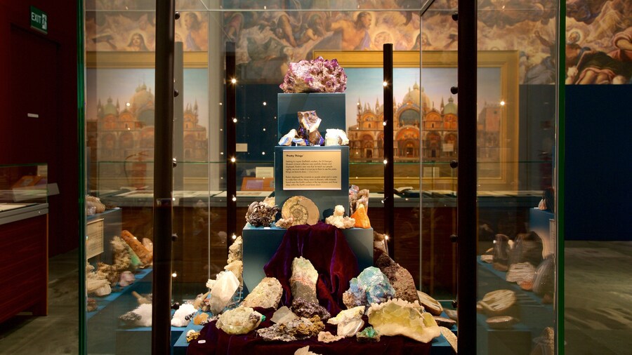 Millennium Gallery bevat interieur