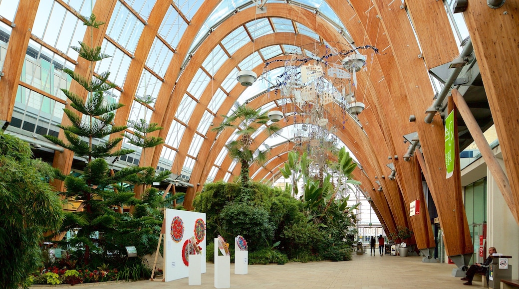 Serre Sheffield Winter Garden mettant en vedette art, jardin et vues intérieures