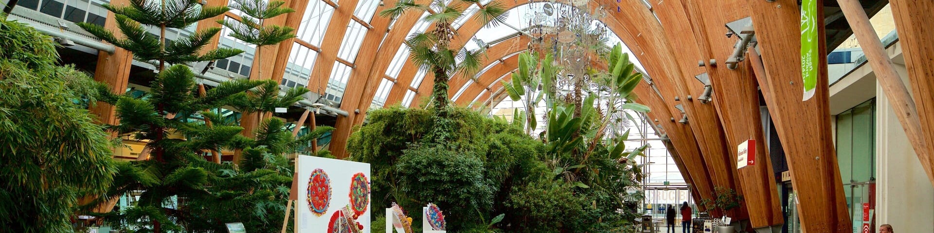 Jardín Winter de Sheffield mostrando vistas interiores, un jardín y arte