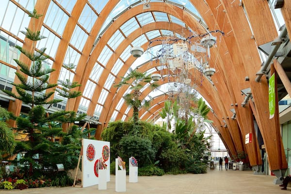 シェフィールド ウィンター ガーデン どの含み 公園, 屋内の眺め と アート