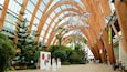 Sheffield Winter Garden featuring interior views, a park and art