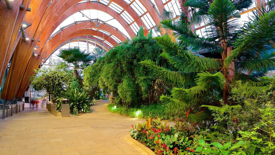 A spacious indoor atrium with a high ceiling and natural light, featuring lush tropical plants and a central walkway.