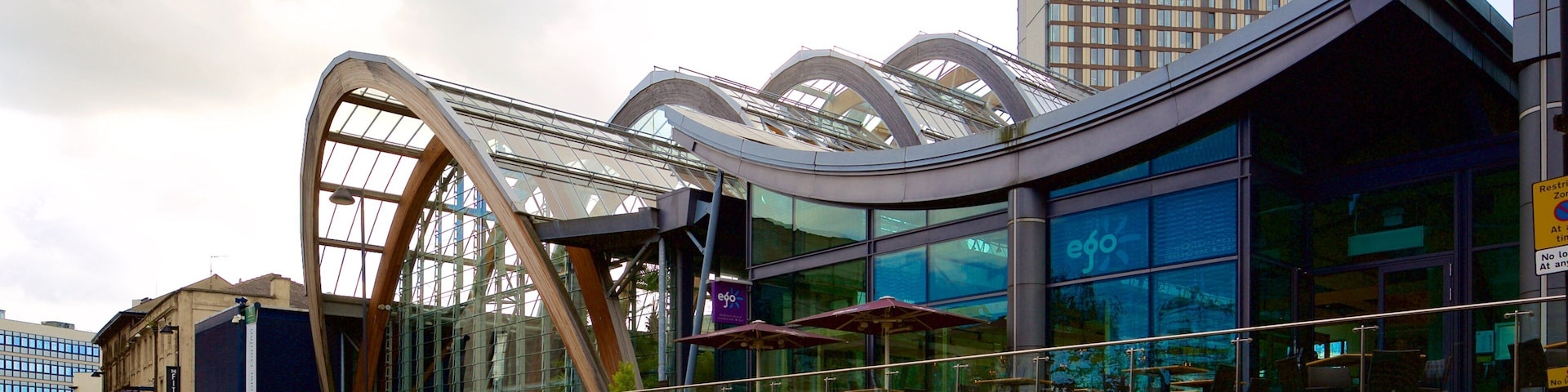 Sheffield Winter Garden welches beinhaltet Park und moderne Architektur