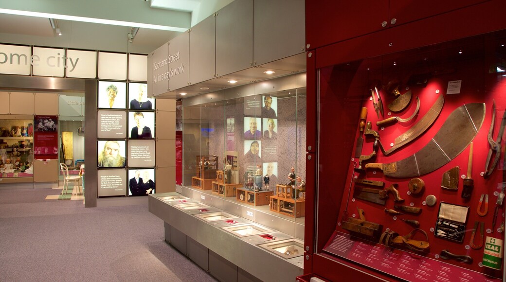 Weston Park Museum featuring interior views