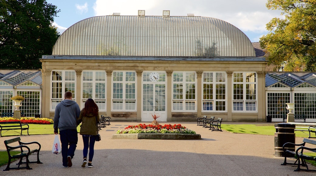 Vườn Bách thảo Sheffield có tính năng khu vườn cũng như cặp đôi