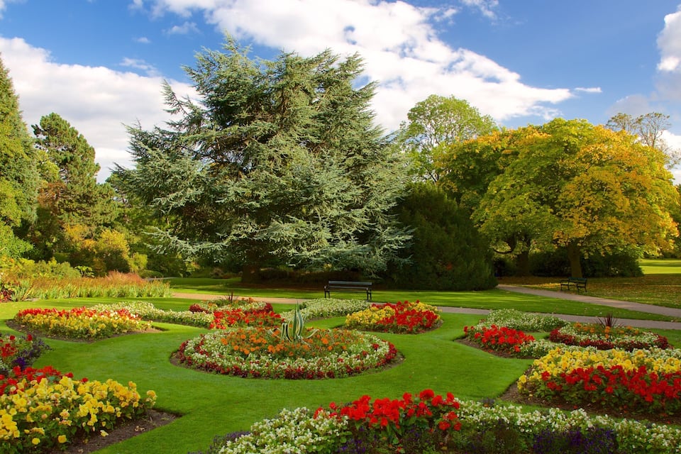 A park with a large tree, flower beds, and a bench.