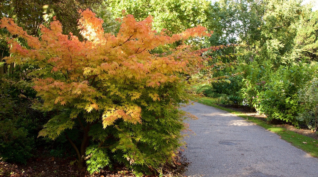 Vườn Bách thảo Sheffield cho thấy khu vườn