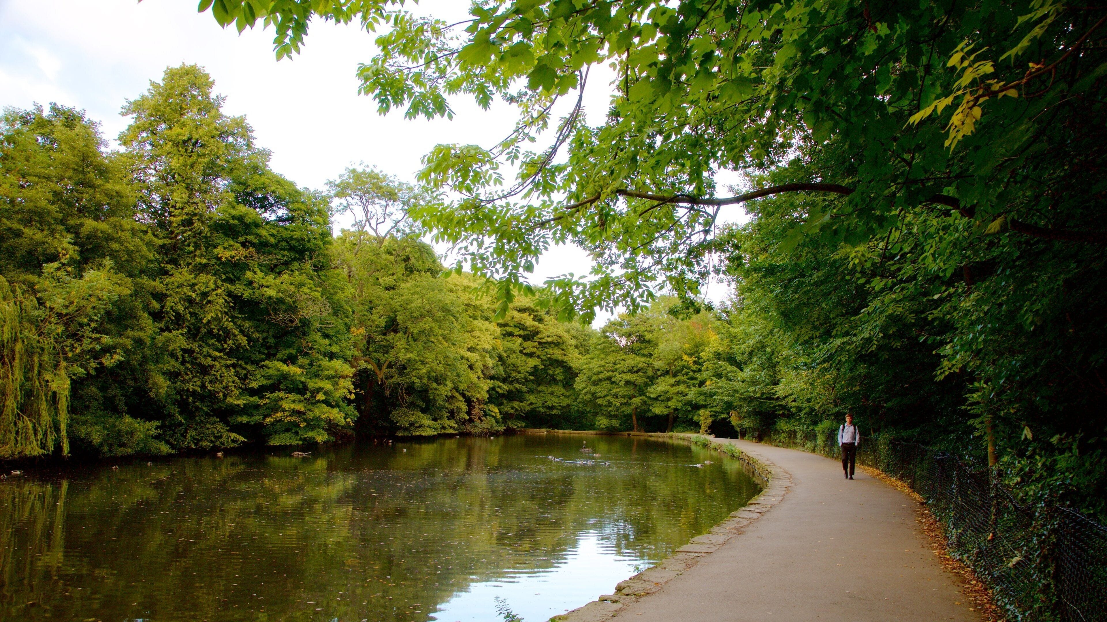 Endcliffe Park which includes a pond and a park
