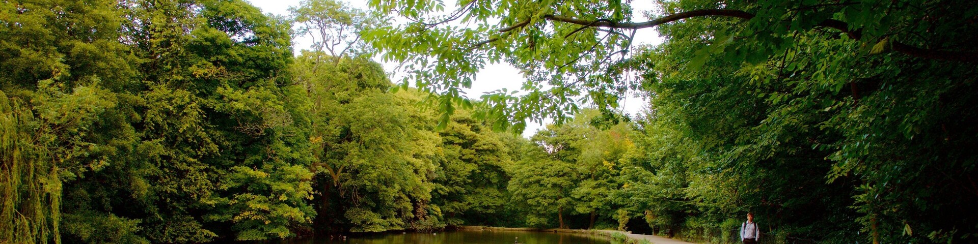 Endcliffe Park which includes a pond and a park