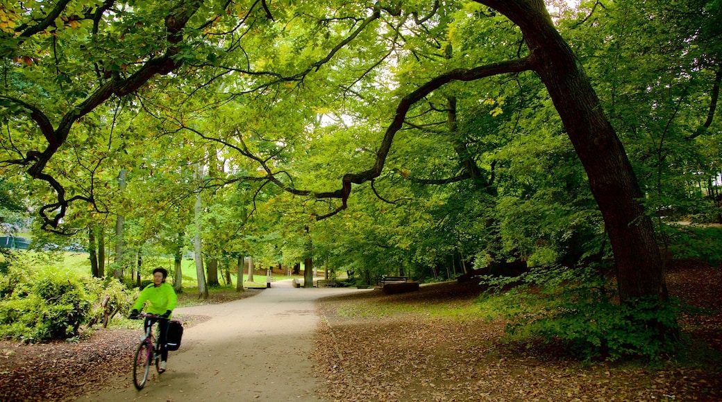 Endcliffe Park which includes a garden and cycling