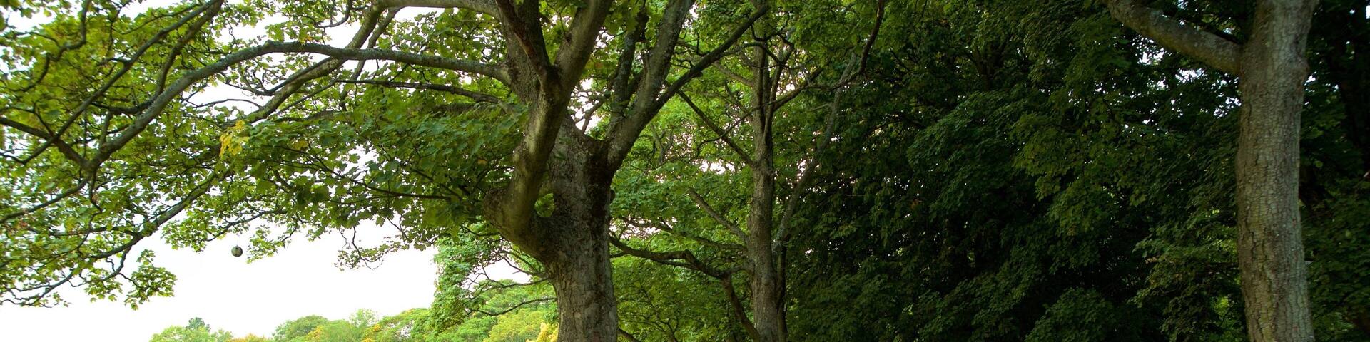 Endcliffe Park featuring a park