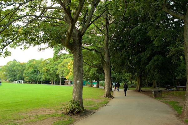 Endcliffe Park mit einem Garten
