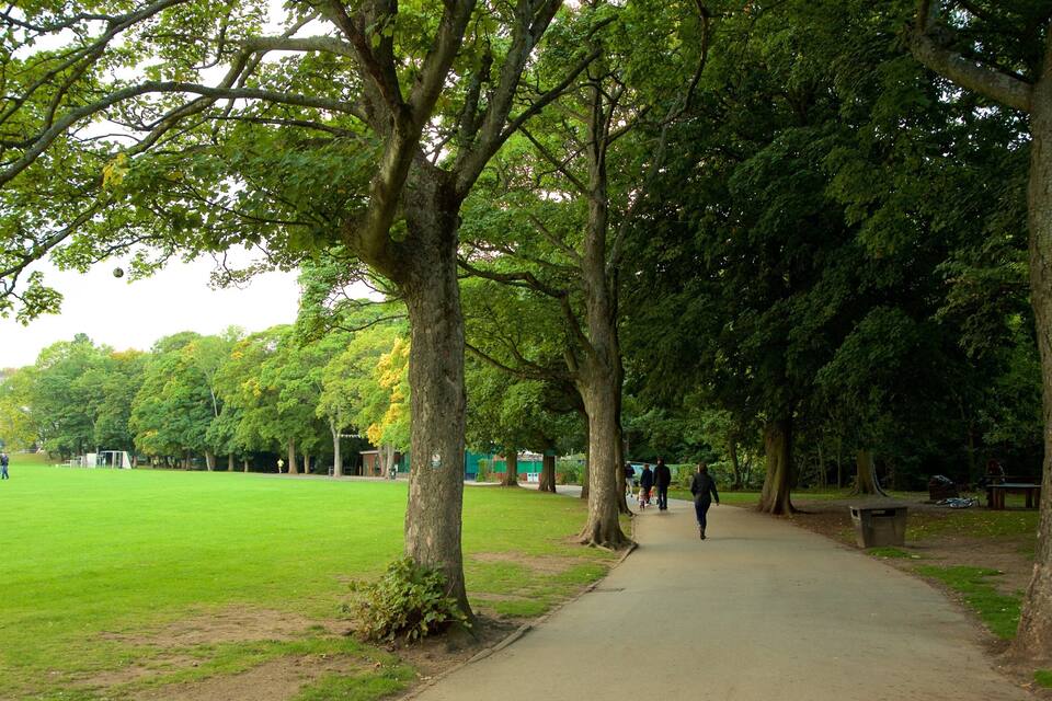 A park with a paved path, green grass, and trees.