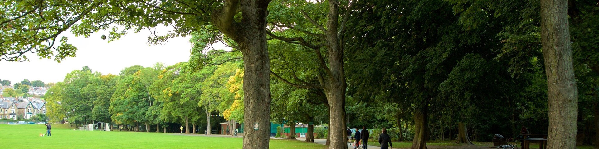 Endcliffe Park mit einem Garten
