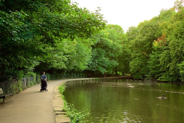 エンドシルフ パーク どの含み 湖あるいは泉 と 公園 及び 女性 (個人)