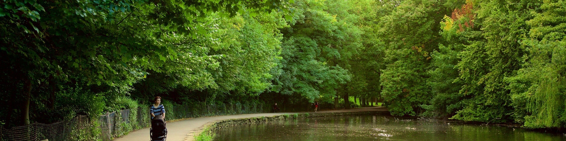 Endcliffe Park que inclui um lago ou charco e um jardim assim como uma mulher sozinha