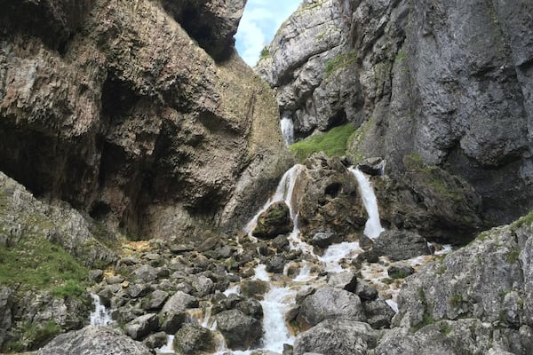 Took a walk a few months ago and came across this lovely sight.