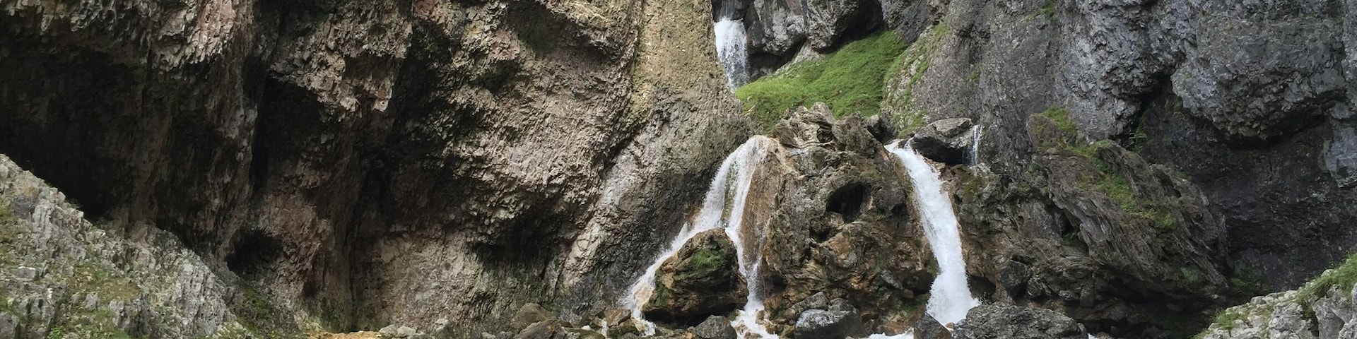 Took a walk a few months ago and came across this lovely sight.