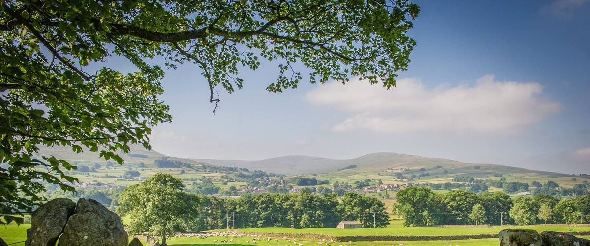 On the road between Askrigg and Hardraw we came upon a farmer moving his sheep along the road. After following the sheep for a short distance, the sheep found their way into a new field where immediately they ran to the farthest fence.