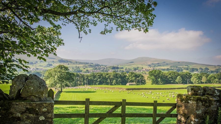 On the road between Askrigg and Hardraw we came upon a farmer moving his sheep along the road. After following the sheep for a short distance, the sheep found their way into a new field where immediately they ran to the farthest fence.